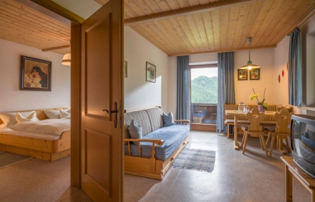 Ferienwohnung 4 - Wohn- und Schlafzimmer