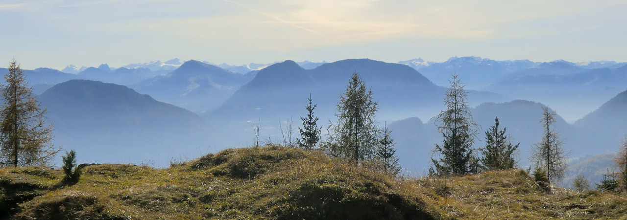 Slider Sommer auf dem Hocheck