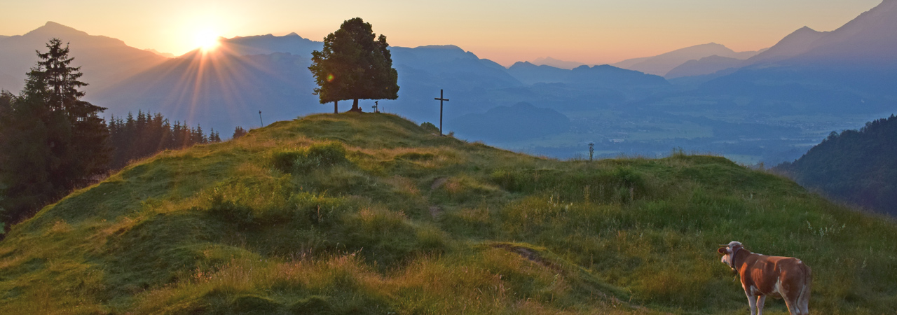 Sommer Abendstimmung Hocheck